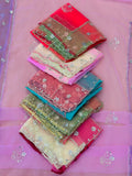 Pure Organza Saree with Handwork
