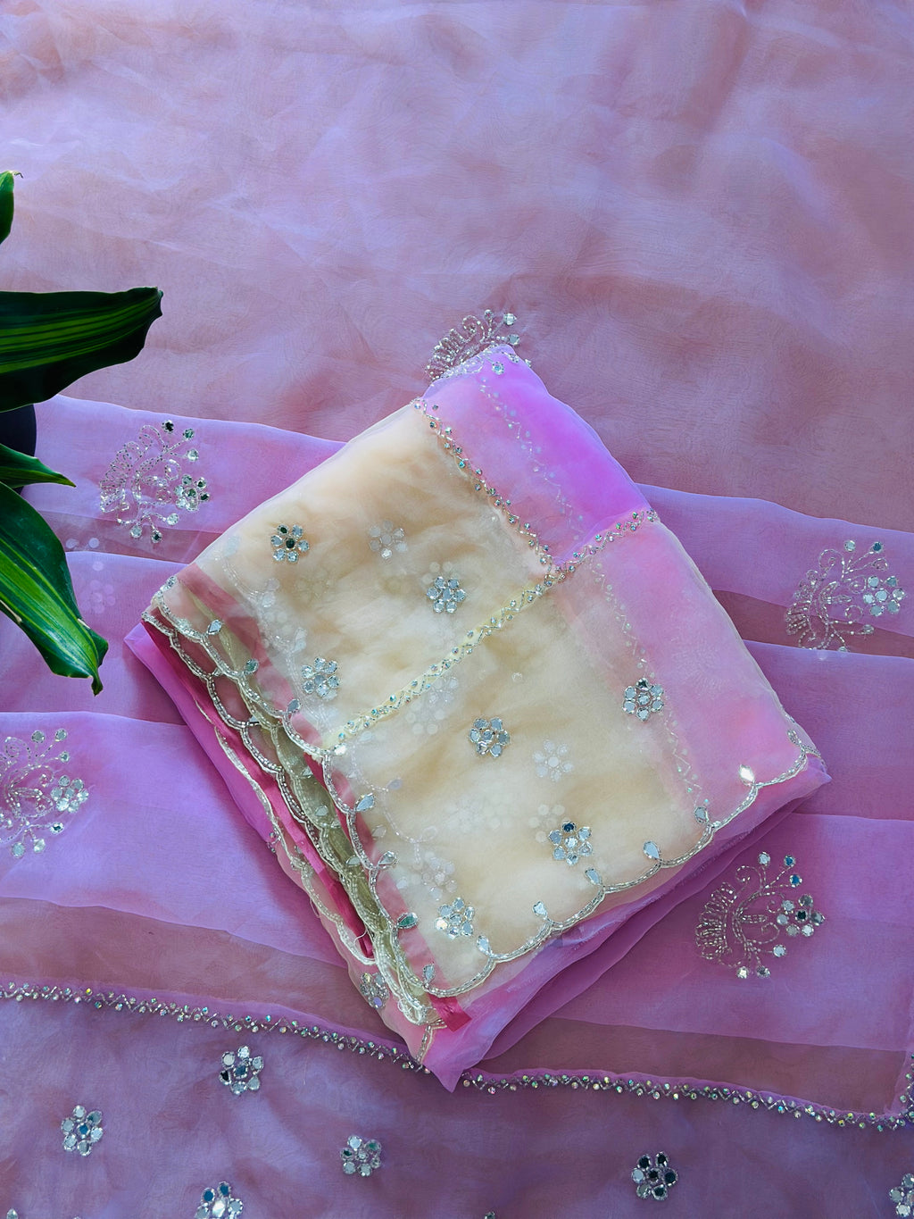 Pure Organza Saree with Handwork