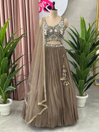 Designer Handwork Blouse Lehenga with Pleated Skirt