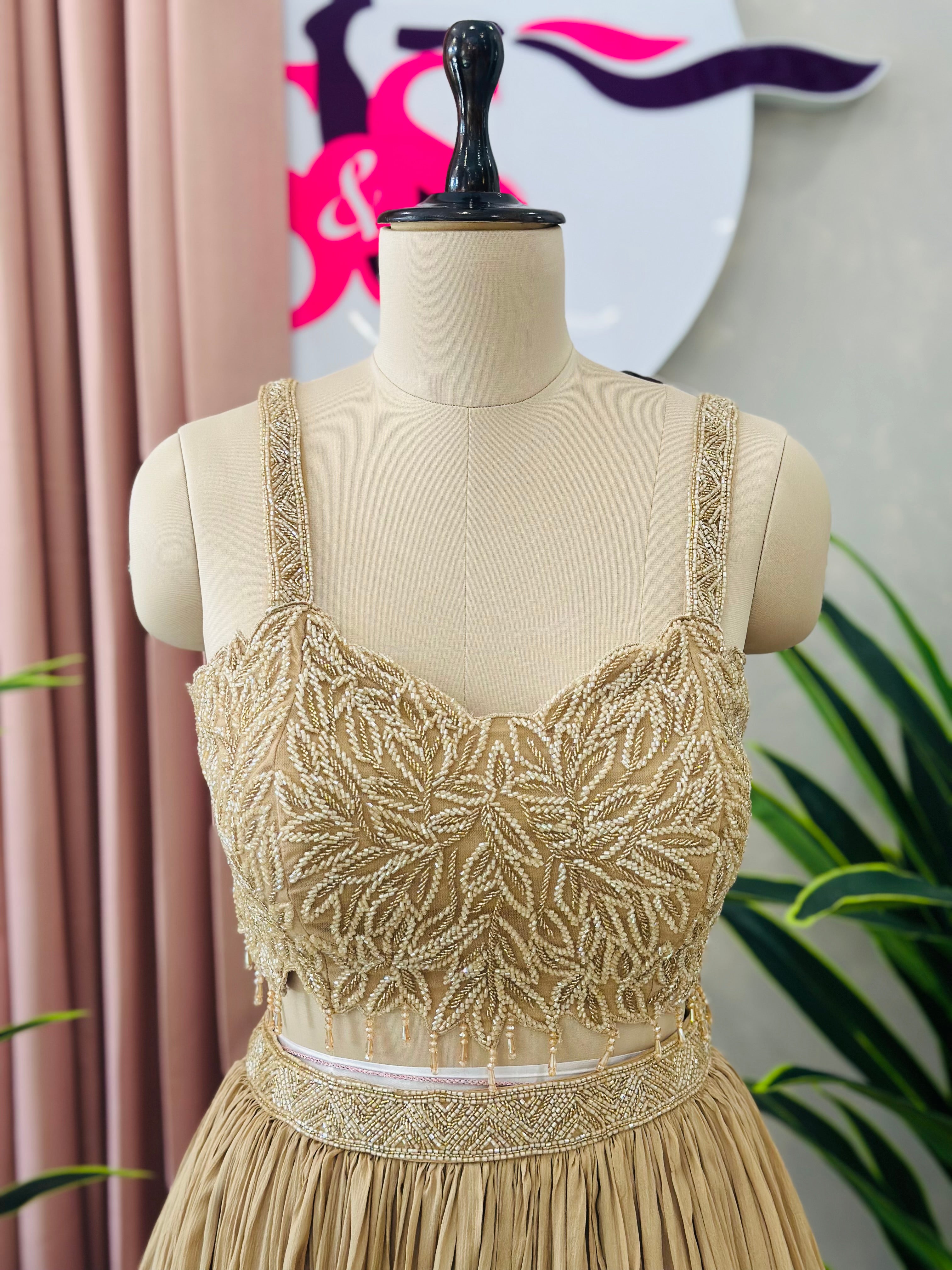 Designer Lehnga With Beautiful Backless Blouse