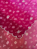 Elegant Bandhani Saree with Handwork Border Detailing