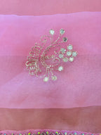 Pure Organza Saree with Handwork