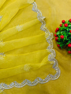 BEAUTIFUL SHADES OF HANDWORK SAREE