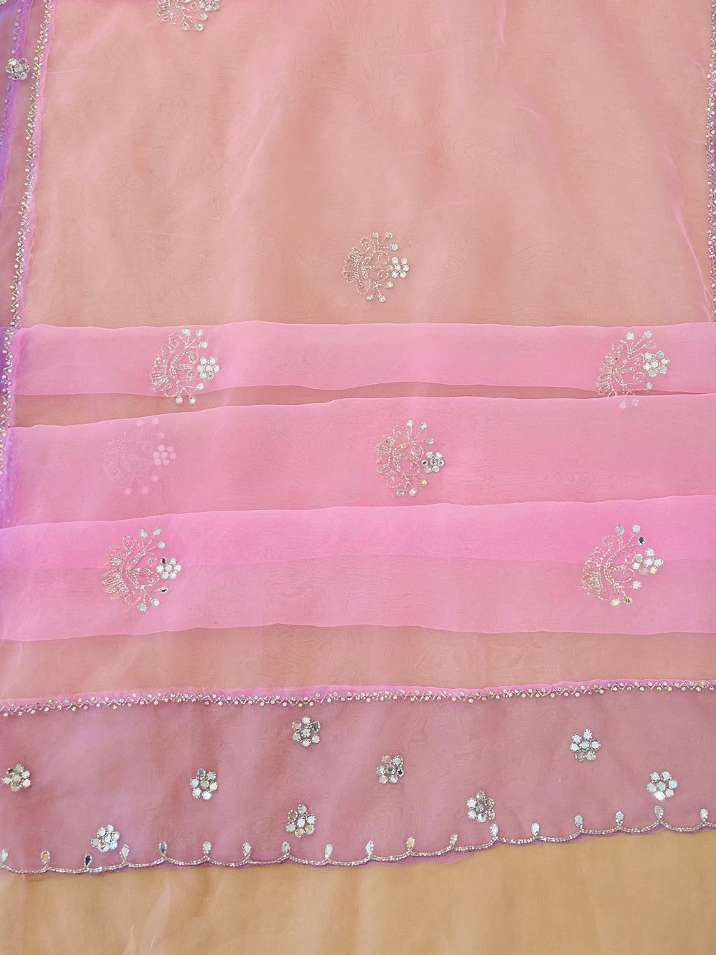 Pure Organza Saree with Handwork
