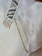 BEAUTIFUL PURE ZAR TISSUE SUIT SET