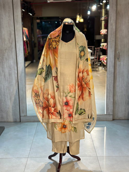 ZARI TISSUE HANDWORK SUIT SET