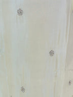 PURE ZARI TISSUE PLAZO SET