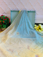 PREMIUM OMBRE JAAL HANDWORK SAREE