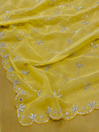 Beautiful Jaal Handwork Saree