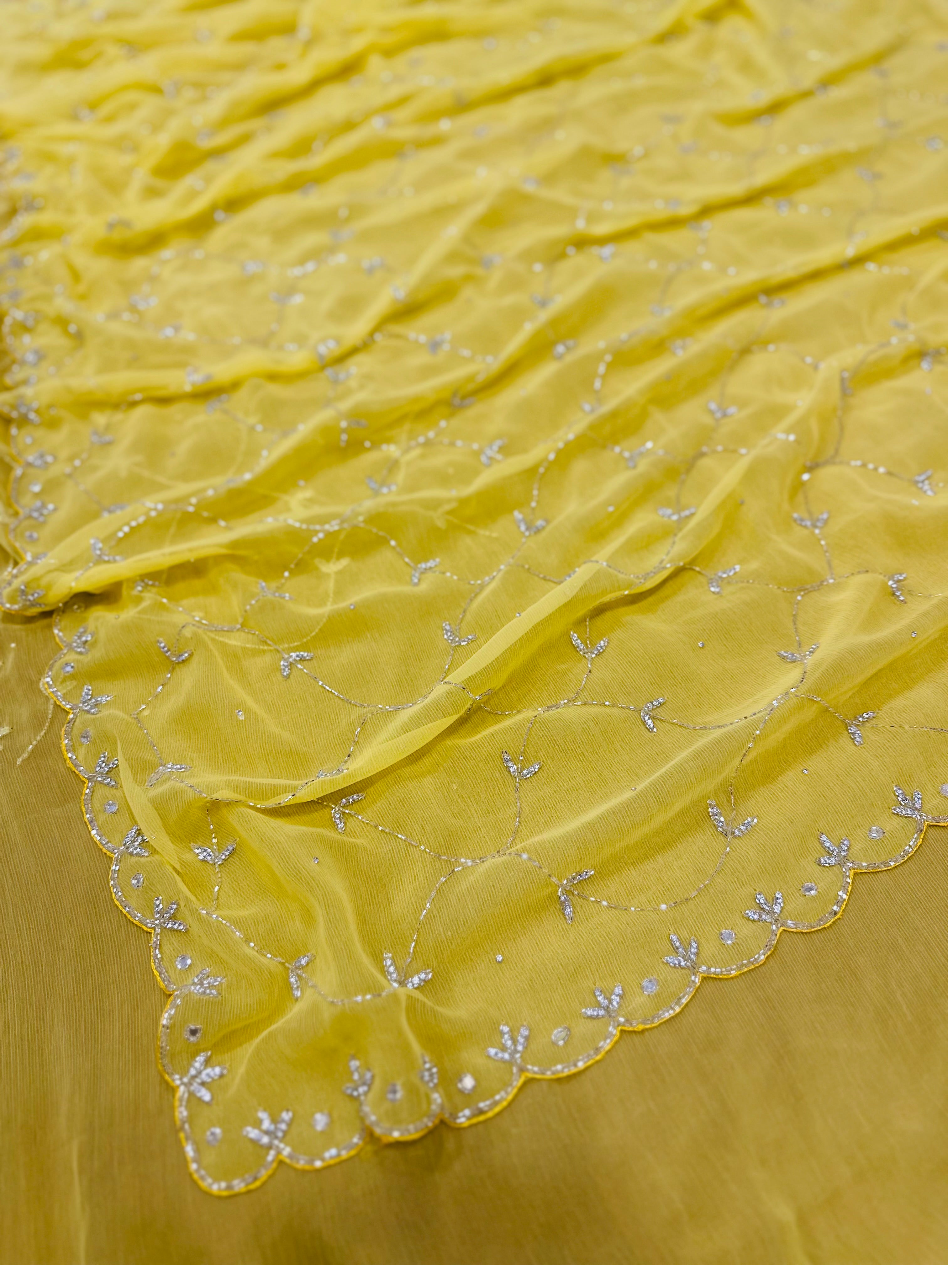 Beautiful Jaal Handwork Saree
