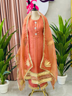 Beautiful Anarkali In Two Beautiful Shades
