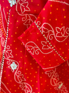 BHANDEJ SPECIAL HANDWORK SKIRT SET