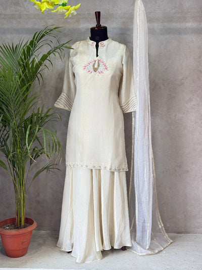 🕊️ Gracefully Plazo Set For Festive Wear 🕊️