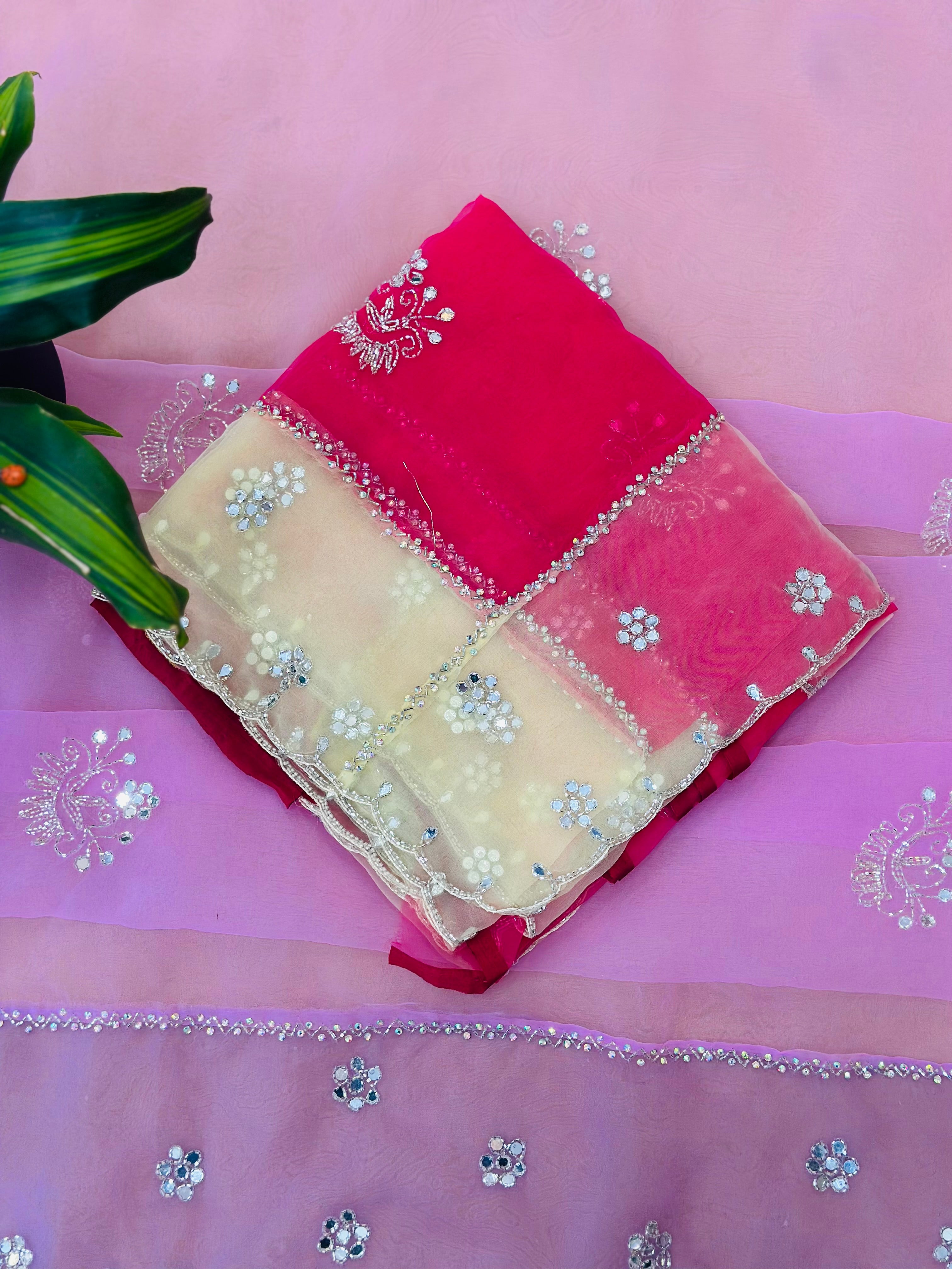Pure Organza Saree with Handwork