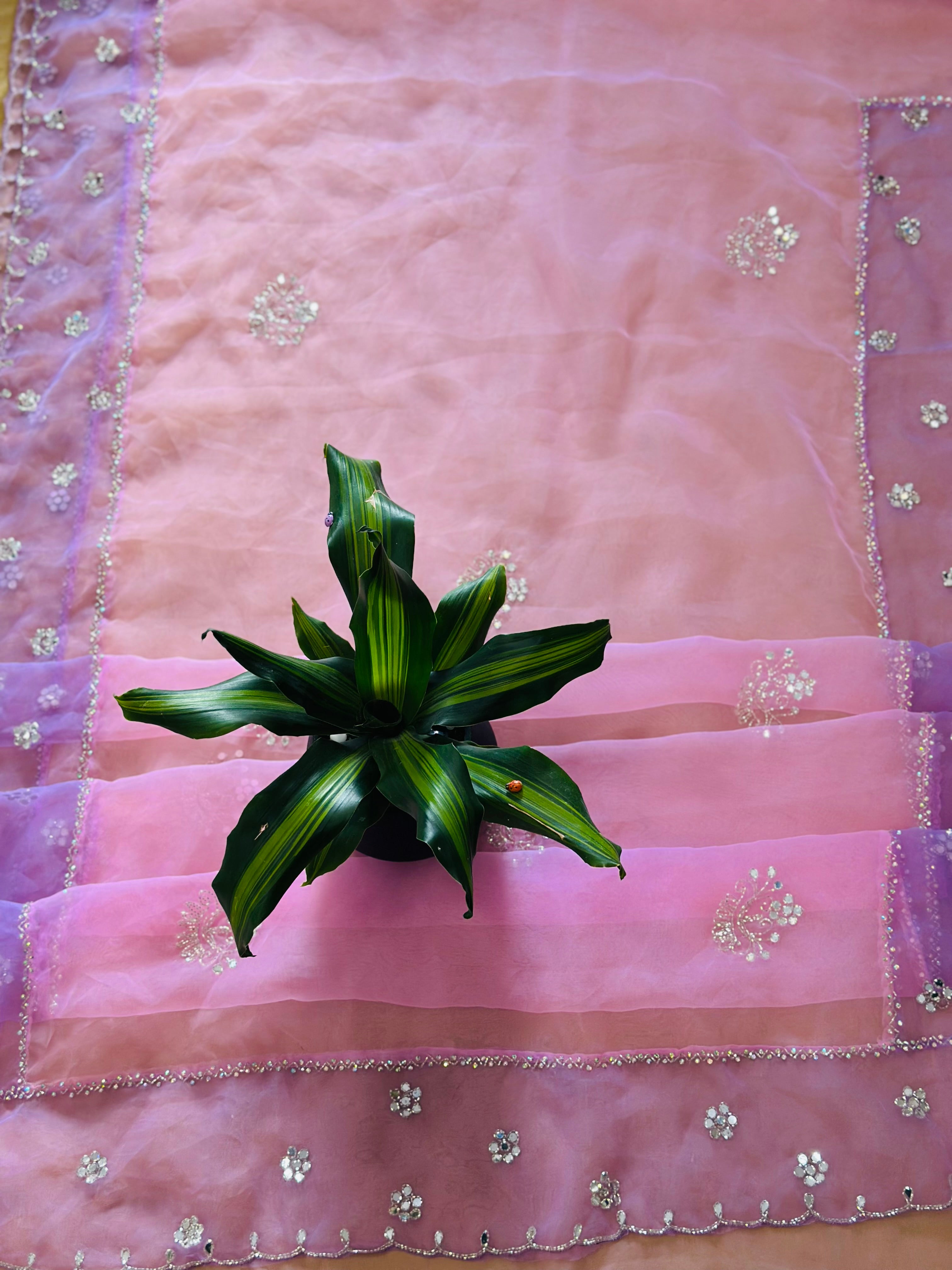 Pure Organza Saree with Handwork