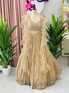 Designer Lehnga With Beautiful Backless Blouse