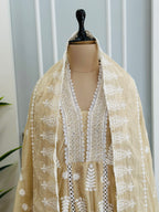 Trendy Chikankari Suit In Two Beautiful Shades