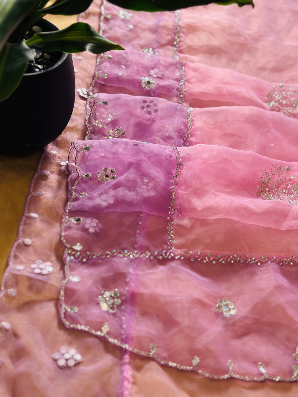 Pure Organza Saree with Handwork