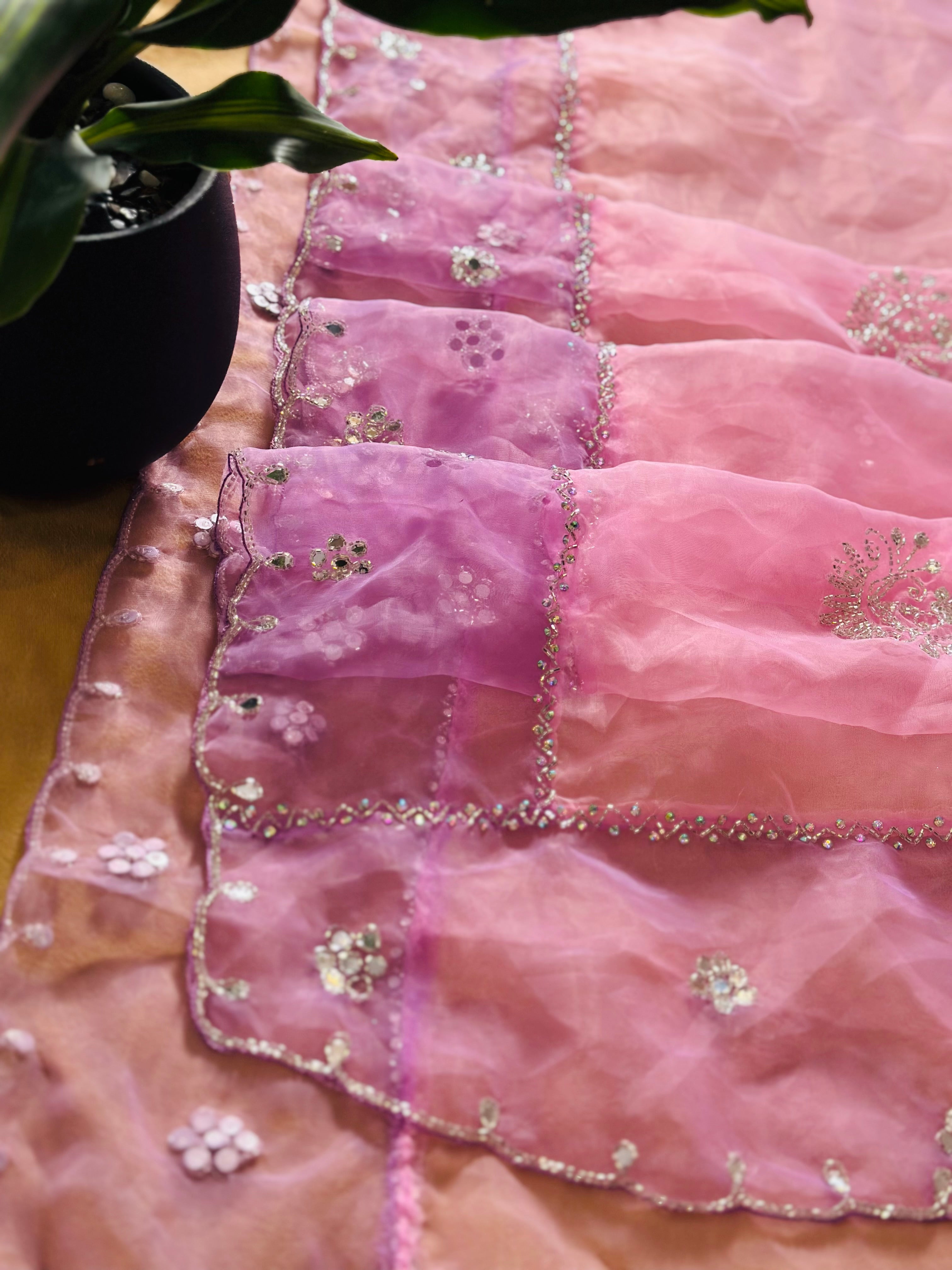 Pure Organza Saree with Handwork