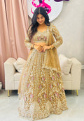 Premium &Classy Handwork Lehnga Set