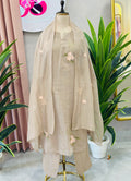 Classy Embroidered Suit Set