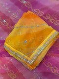 Rangriti Bandhani Georgette Saree with Stone Work Border