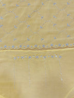 Beautiful Jaal Handwork Saree