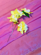 CHIFFON SAREE WITH CUT WORK DETAILING