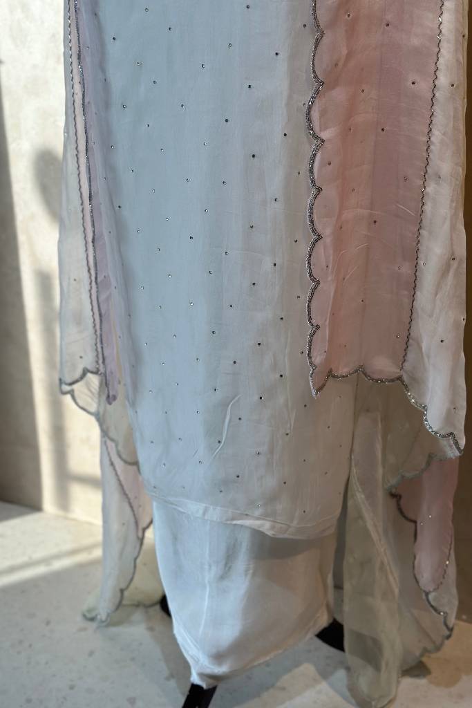 Pure Organza Handwork Suit