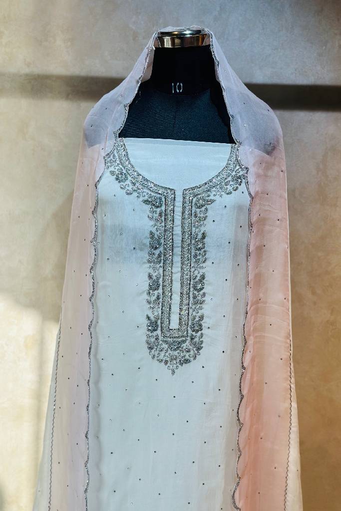 Pure Organza Handwork Suit