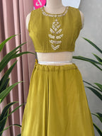 Premium Gota patti Handwork Skirt Set